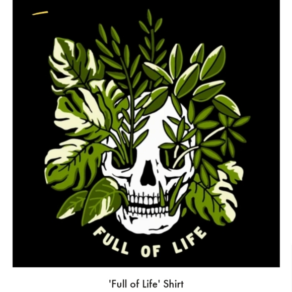 New Orders are in Now!! - Picture 14 of 15